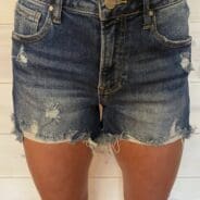 Becca-High Rise Distressed Shorts