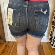 Kayla-High Rise Distressed Shorts