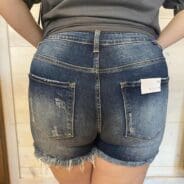 Becca-High Rise Distressed Shorts