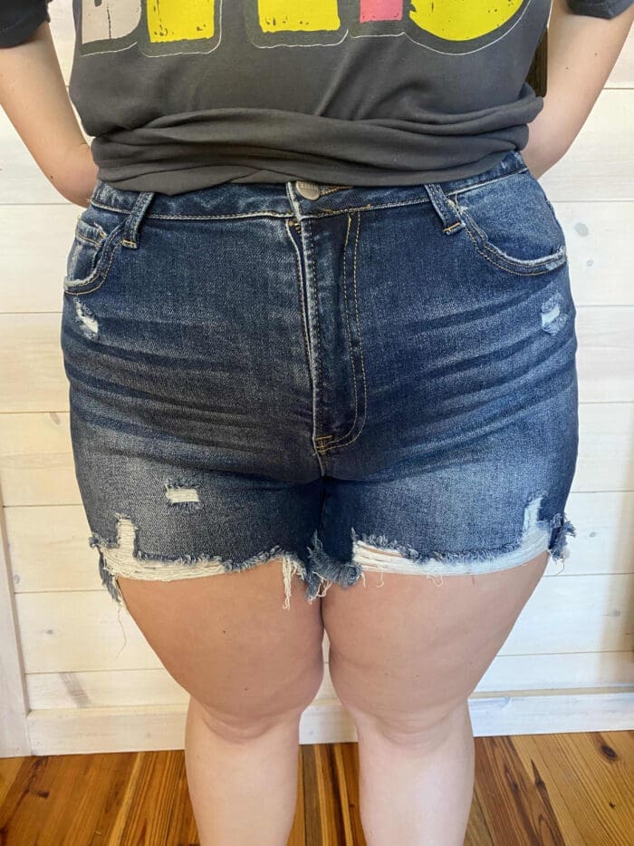 Becca-High Rise Distressed Shorts