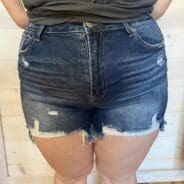Becca-High Rise Distressed Shorts