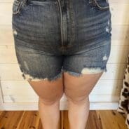 Kayla-High Rise Distressed Shorts